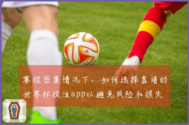 赛程密集情况下，如何选择靠谱的世界杯投注app以避免风险和损失