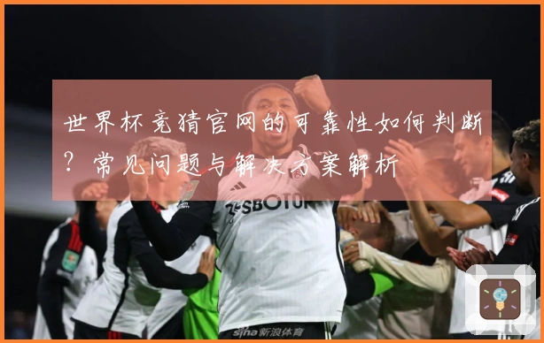 世界杯竞猜官网的可靠性如何判断？常见问题与解决方案解析
