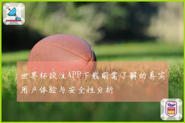 世界杯投注APP下载前需了解的真实用户体验与安全性分析