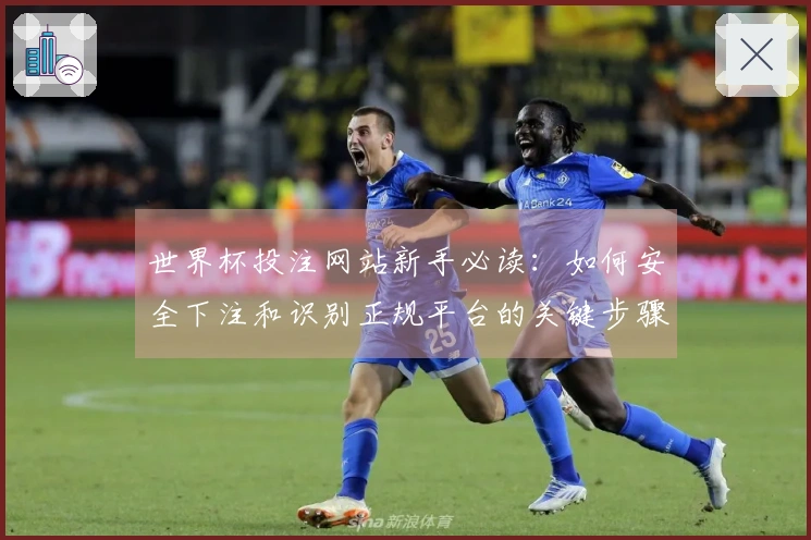 世界杯投注网站新手必读：如何安全下注和识别正规平台的关键步骤