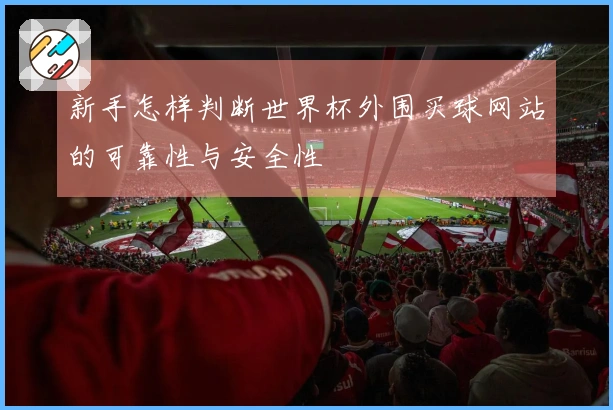 新手怎样判断世界杯外围买球网站的可靠性与安全性