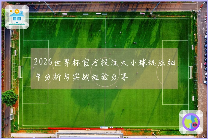 2026世界杯官方投注大小球玩法细节分析与实战经验分享