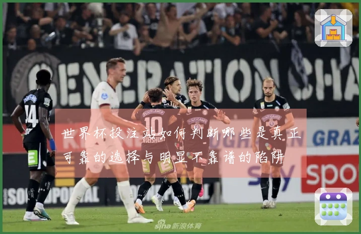 世界杯投注站如何判断哪些是真正可靠的选择与明显不靠谱的陷阱