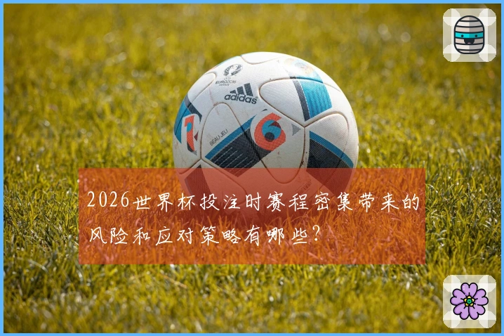 2026世界杯投注时赛程密集带来的风险和应对策略有哪些？