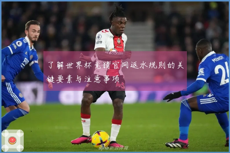 了解世界杯竞猜官网返水规则的关键要素与注意事项