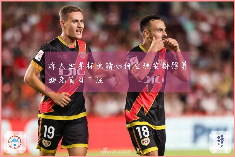 烽火世界杯竞猜如何合理安排预算避免盲目下注