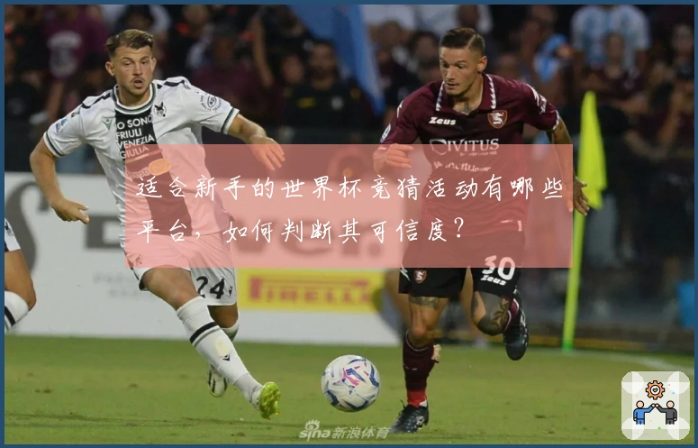 适合新手的世界杯竞猜活动有哪些平台，如何判断其可信度？