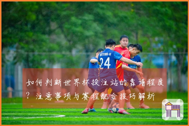 如何判断世界杯投注站的靠谱程度？注意事项与赛程配合技巧解析