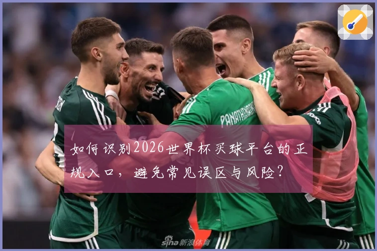 如何识别2026世界杯买球平台的正规入口，避免常见误区与风险？