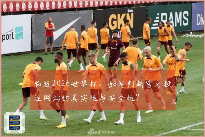 临近2026世界杯，如何判断官方投注网站的真实性与安全性？