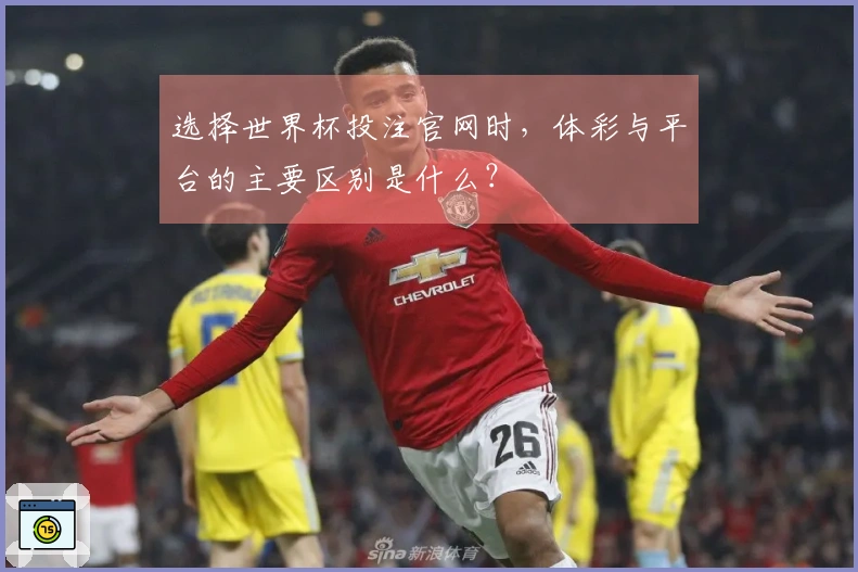 选择世界杯投注官网时，体彩与平台的主要区别是什么？