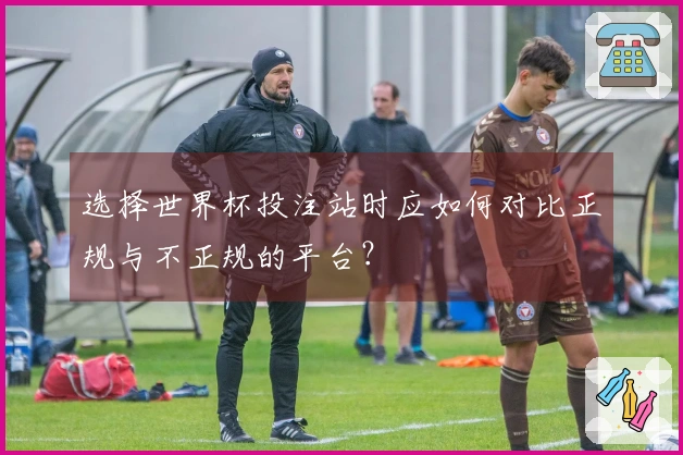 选择世界杯投注站时应如何对比正规与不正规的平台？