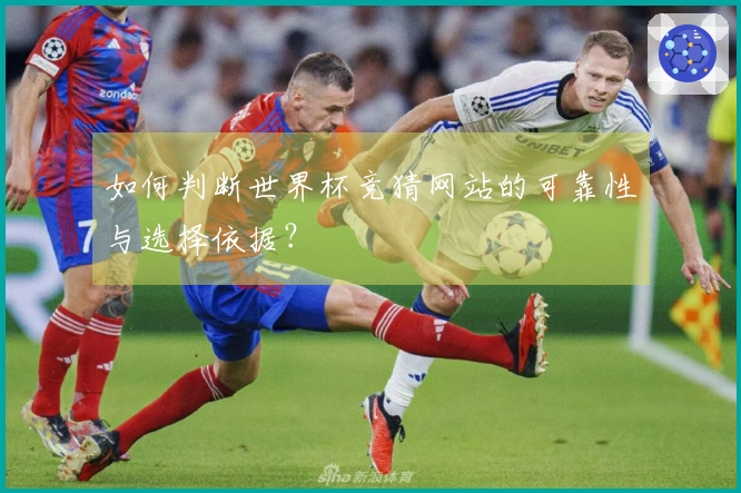 如何判断世界杯竞猜网站的可靠性与选择依据？