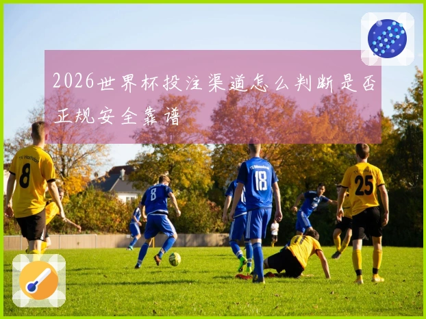 2026世界杯投注渠道怎么判断是否正规安全靠谱
