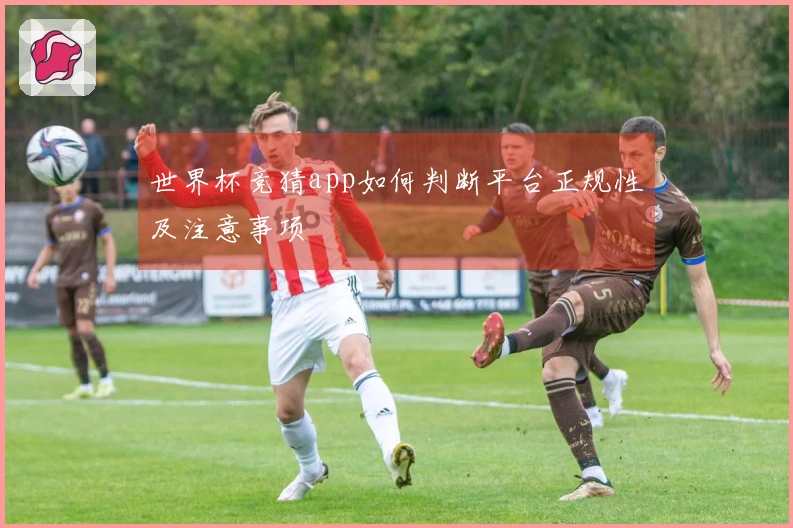 世界杯竞猜app如何判断平台正规性及注意事项