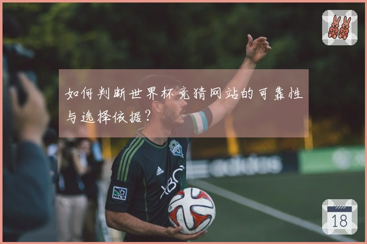 如何判断世界杯竞猜网站的可靠性与选择依据？