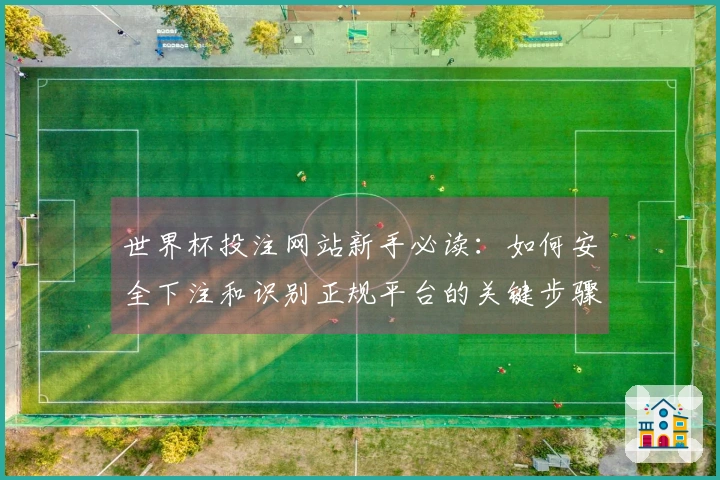 世界杯投注网站新手必读：如何安全下注和识别正规平台的关键步骤