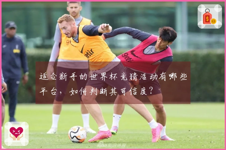 适合新手的世界杯竞猜活动有哪些平台，如何判断其可信度？