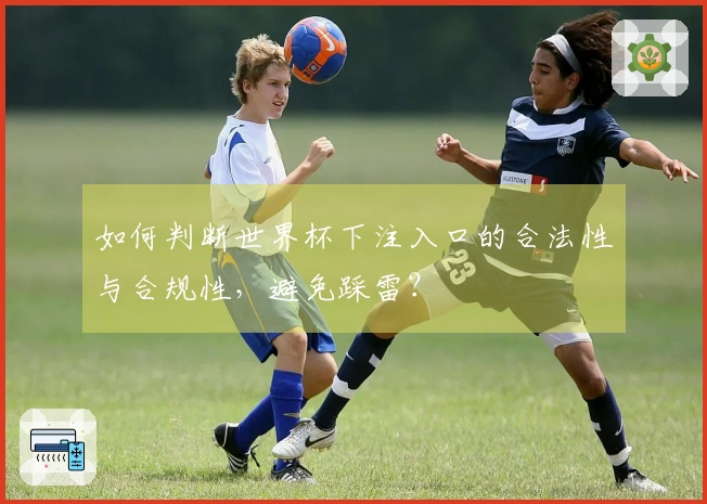 如何判断世界杯下注入口的合法性与合规性，避免踩雷？