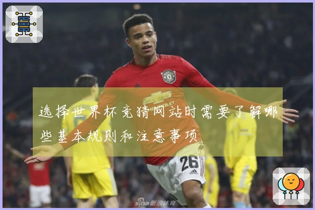选择世界杯竞猜网站时需要了解哪些基本规则和注意事项