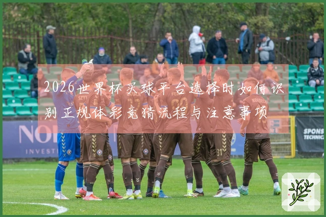 2026世界杯买球平台选择时如何识别正规体彩竞猜流程与注意事项