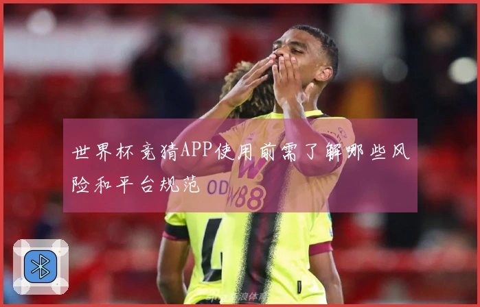 世界杯竞猜APP使用前需了解哪些风险和平台规范