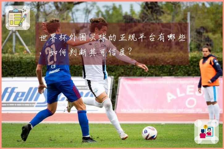世界杯外围买球的正规平台有哪些，如何判断其可信度？