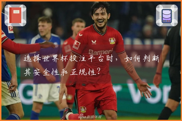 选择世界杯投注平台时，如何判断其安全性和正规性？