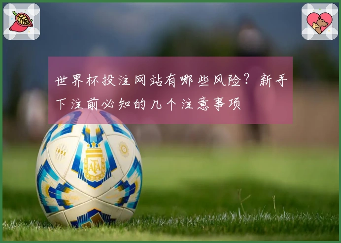 世界杯投注网站有哪些风险？新手下注前必知的几个注意事项