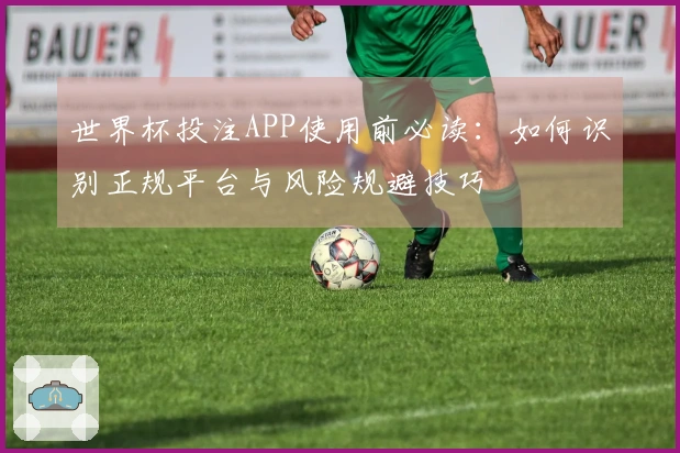 世界杯投注APP使用前必读：如何识别正规平台与风险规避技巧