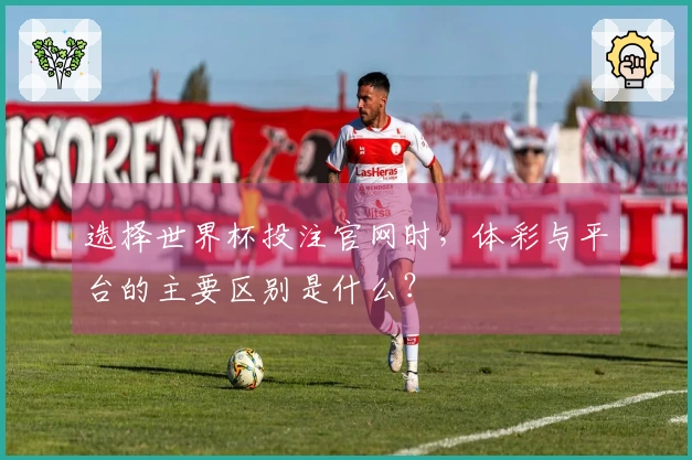选择世界杯投注官网时，体彩与平台的主要区别是什么？