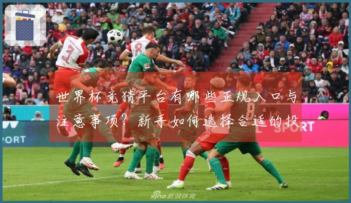 世界杯竞猜平台有哪些正规入口与注意事项？新手如何选择合适的投注方式？