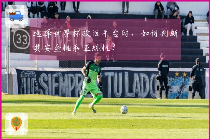 选择世界杯投注平台时，如何判断其安全性和正规性？