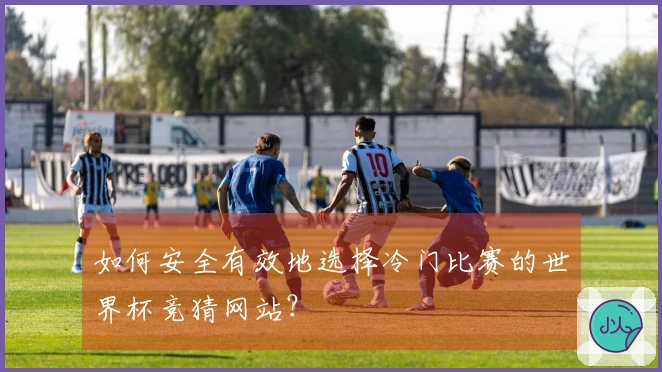 如何安全有效地选择冷门比赛的世界杯竞猜网站？