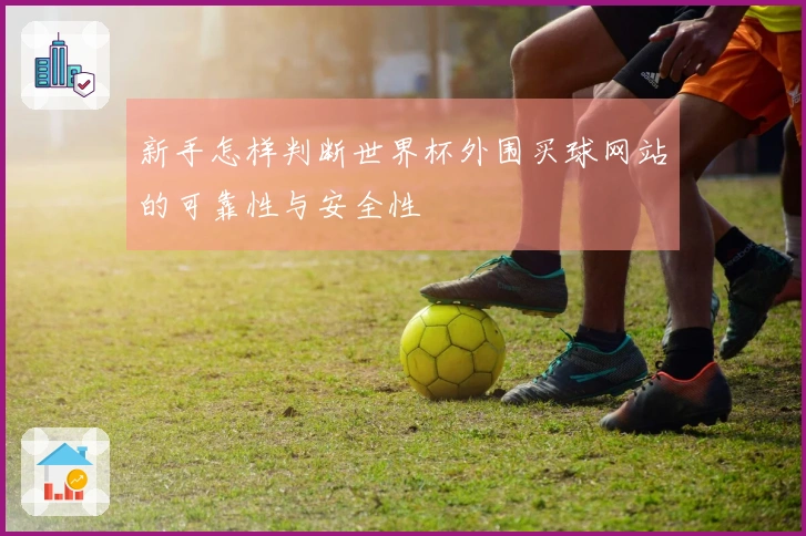 新手怎样判断世界杯外围买球网站的可靠性与安全性