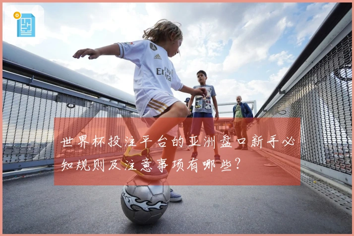 世界杯投注平台的亚洲盘口新手必知规则及注意事项有哪些？