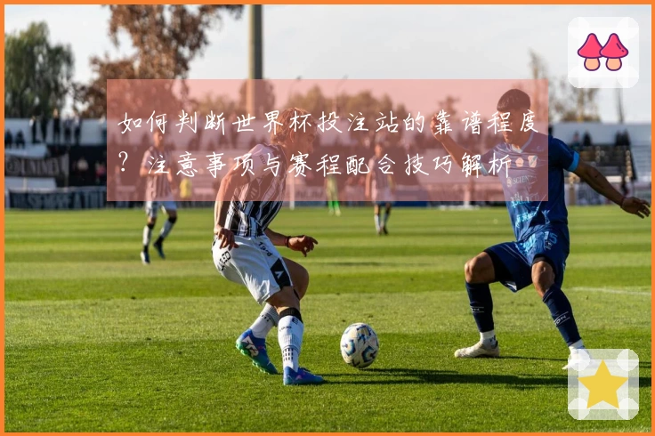 如何判断世界杯投注站的靠谱程度？注意事项与赛程配合技巧解析