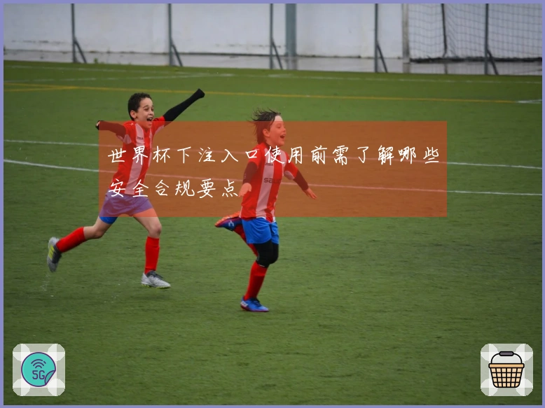 世界杯下注入口使用前需了解哪些安全合规要点