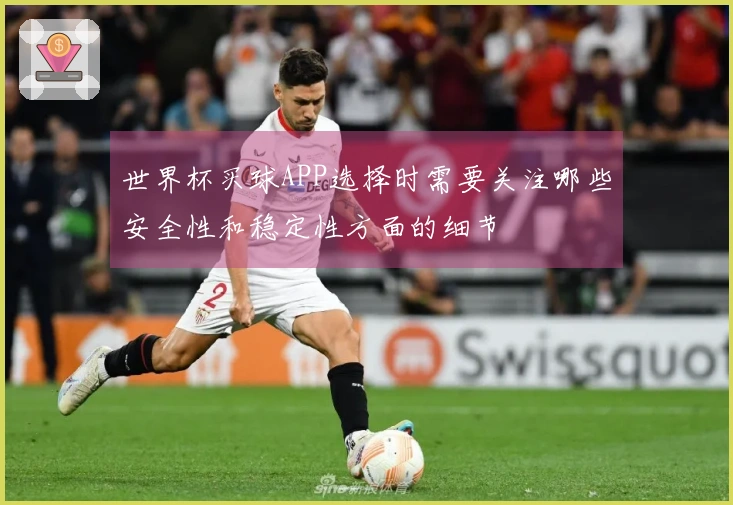 世界杯买球APP选择时需要关注哪些安全性和稳定性方面的细节