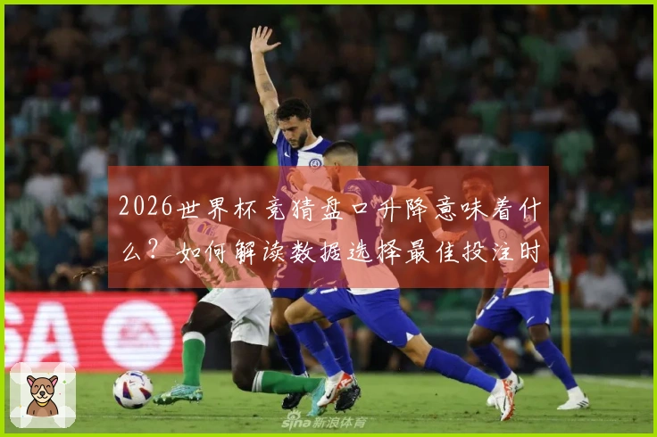 2026世界杯竞猜盘口升降意味着什么？如何解读数据选择最佳投注时机
