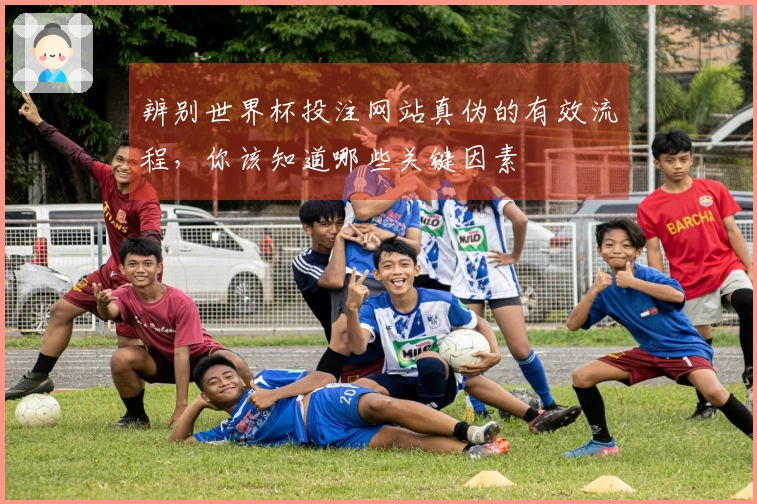 辨别世界杯投注网站真伪的有效流程，你该知道哪些关键因素
