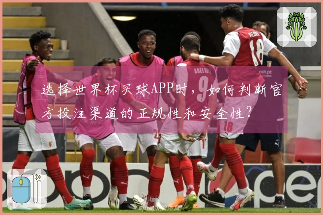 选择世界杯买球APP时，如何判断官方投注渠道的正规性和安全性？
