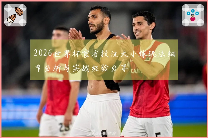 2026世界杯官方投注大小球玩法细节分析与实战经验分享
