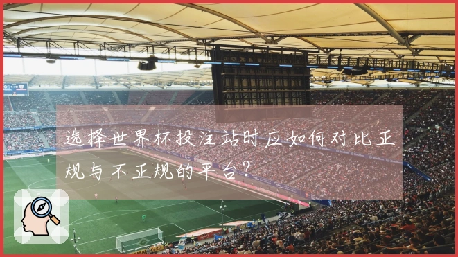 选择世界杯投注站时应如何对比正规与不正规的平台？